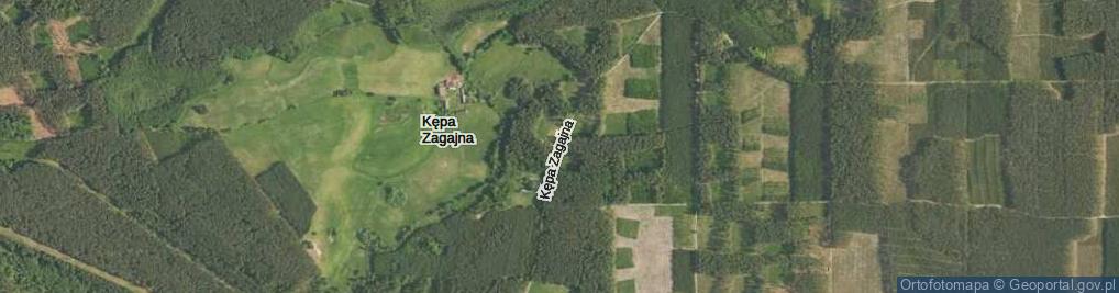 Zdjęcie satelitarne Kępa Zagajna ul.